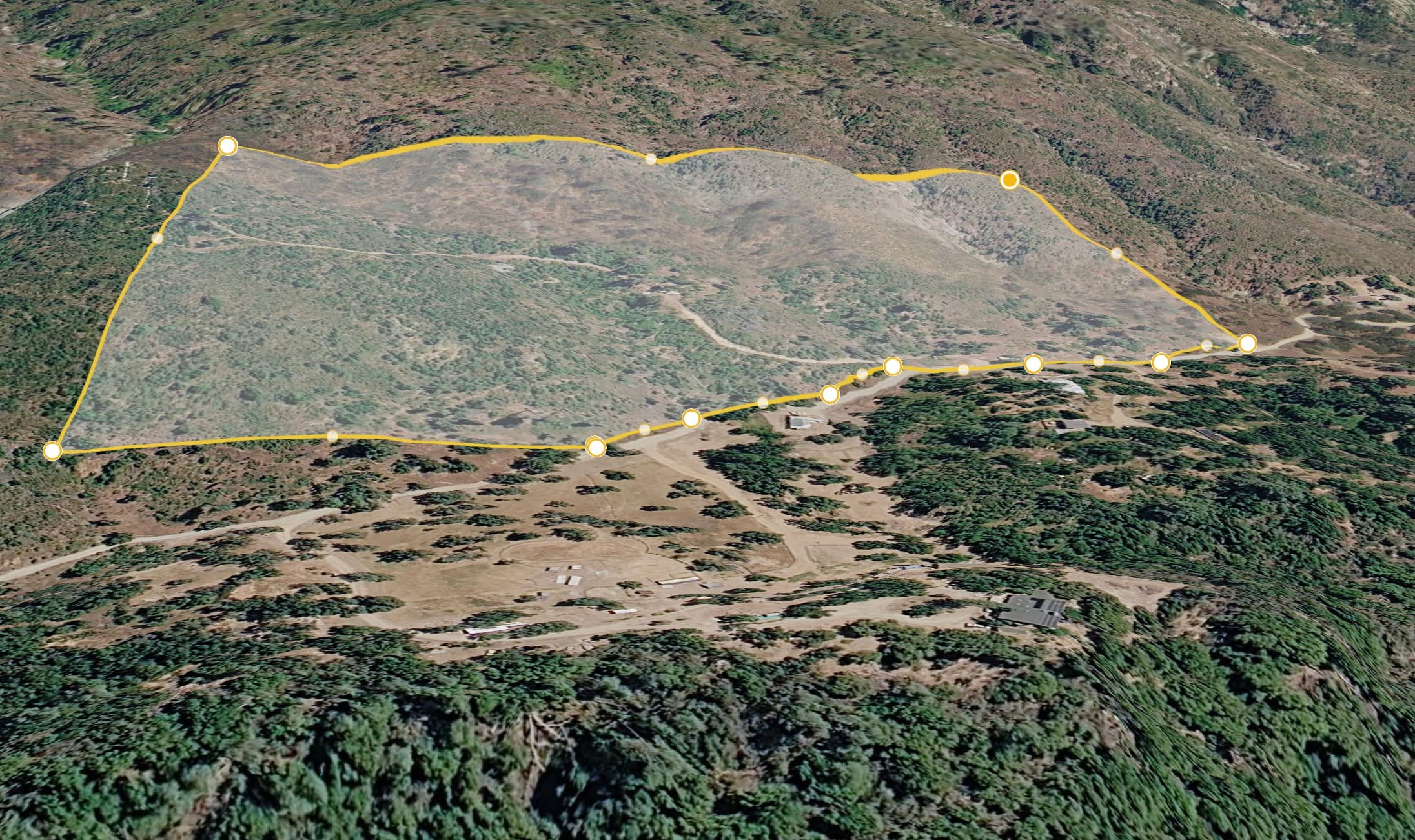 36.2 Acres of Land with Road Access – Nature, Privacy, and Open Space.